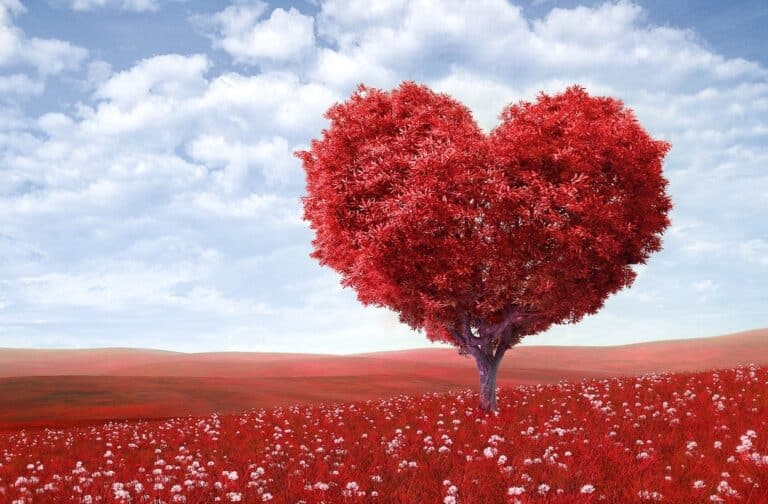 How Facebook has made me resolve to love more
